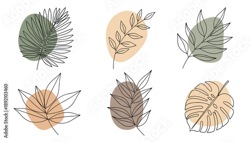 Collection of tropical leaf line art with colored abstract shapes for modern botanical wall art or eco friendly branding design projects.