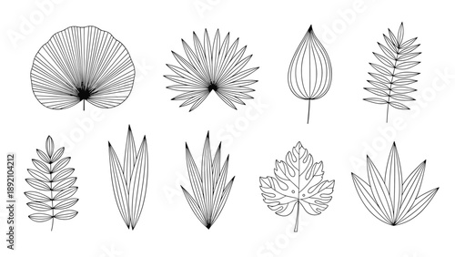 Hand-drawn tropical and exotic leaf silhouettes in black ink on a white background, featuring various palm and fern species.