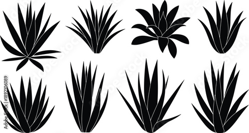 Tropical plant silhouettes set, black botanical leaves collection, agave aloe succulent shapes, minimal nature illustration design artwork