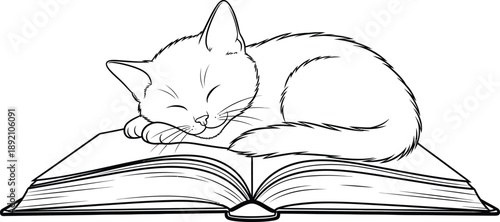 A serene drawing of a cat peacefully sleeping on an open book ideal for design projects on transparent background silhouette