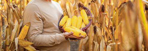 Valokuva Farmer at corn crop harvest in village