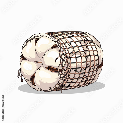 Harvested Cotton Bales Wrapped in Protective Netting for Agricultural Transport and Processing