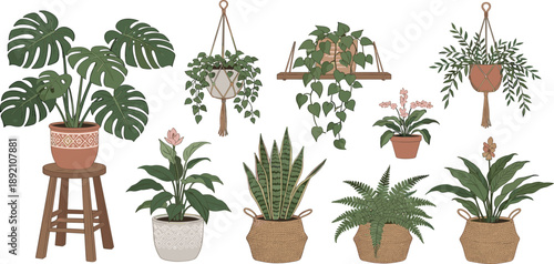 Various potted plants displayed on stools and hanging from shelves in a serene indoor setting viewed from the front.