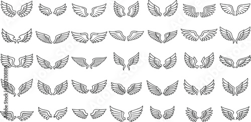 A collection of diverse wing illustrations arranged in a grid pattern on a clean background from a direct viewpoint