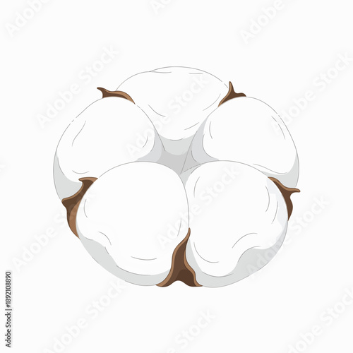 The Gentle Fluff of Cotton A Symbol of Softness Comfort and Natural Beauty Pure and Organic Fiber for Everyday Use