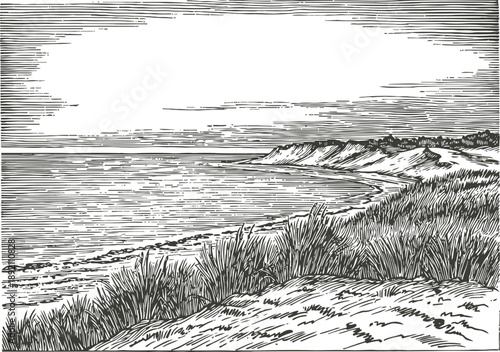 Ocean coastline with sandy dunes and grass under cloudy sky, vintage black and white landscape engraving