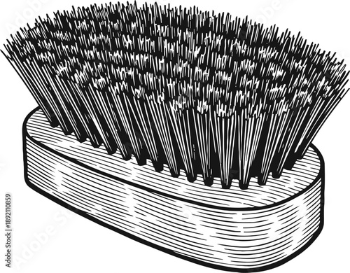 Wooden brush with dense bristles for cleaning and grooming, hand drawn vintage illustration