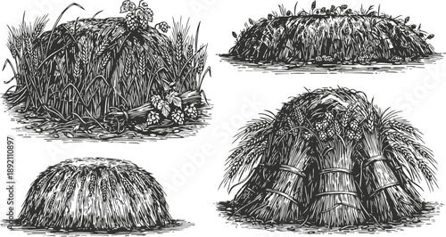 vintage illustrations of various sheaves and stacks of harvested grains and straw bundles