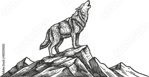 Wolf howling on rocky mountain peak wild animal silhouette with detailed fur texture nature wilderness scene with mountains background