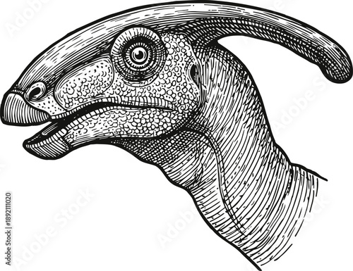 Detailed black and white illustration of a parasaurolophus dinosaur head with textured skin and crest