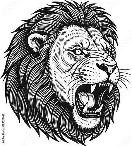 Roaring lion head detailed black and white illustration showing fierce wild animal with mane and open mouth