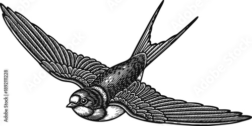 Black and white illustration of a flying swallow bird with detailed feathers and outstretched wings