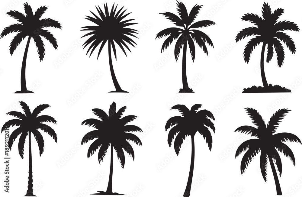 Obraz premium Palm tree silhouette icon set