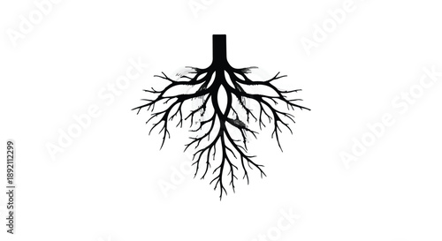 Intricate root system illustration symbolizing growth and connection against a white background