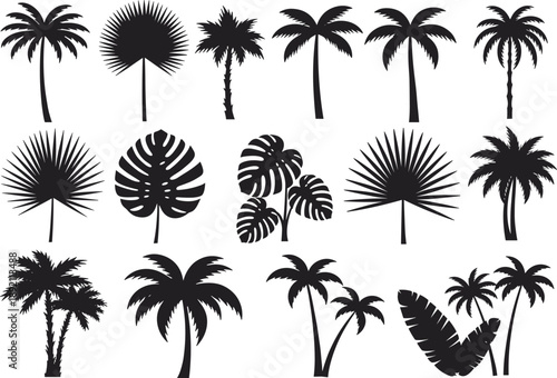 Palm tree silhouettes, tropical leaves, exotic plants, beach design, summer decoration, black shapes, botanical art, island theme, vector illustration, nature elements