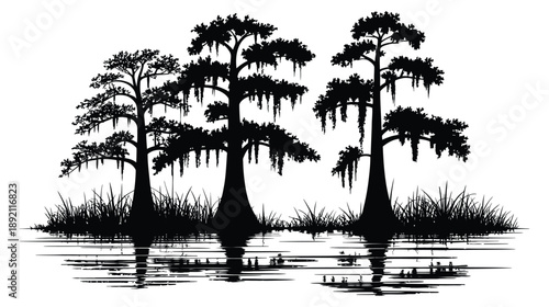 Swamp cypress trees with knees growing in a bayou, wetland landscape, southern swamp, nature illustration, plant vector graphic design