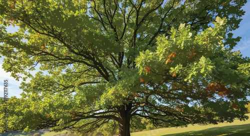 Majestic old oak tree dominates the bright summer landscape with sprawling green branches reaching toward the clear blue sky above the rolling hills.