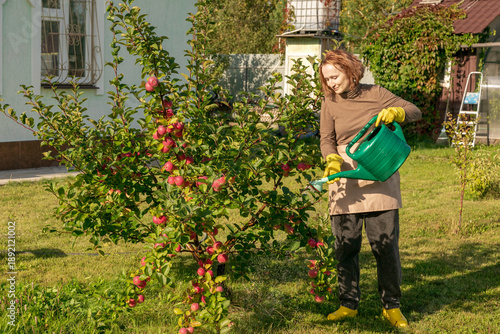 woman fertilizing apple tree