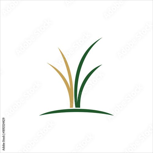 grass green logo vector