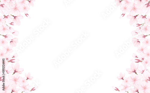 手描きの桜の左右フレーム_横