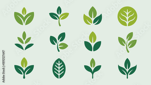 A collection of stylized green leaves is displayed in a grid arrangement showcasing various shapes and vein patterns high quality professional detailed modern elegant stylish clean