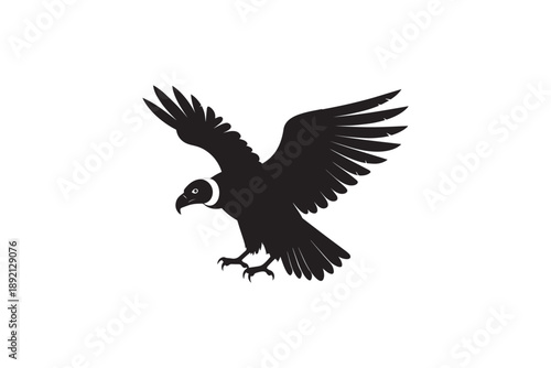 Flying condor bird silhouette icon for wild nature animal wildlife and predatory eagle symbol