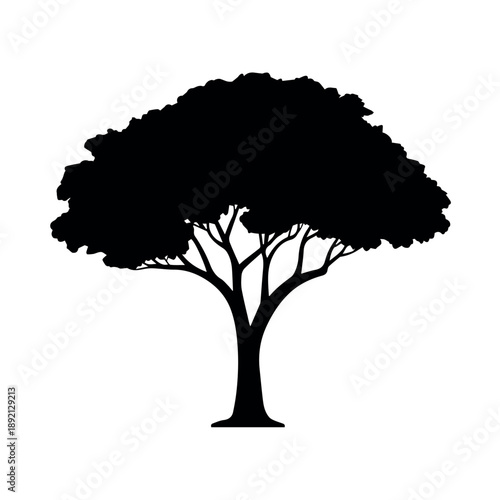 A classic and majestic silhouette of a broadleaf tree with a full, dense canopy and visible trunk and branches, standing strong on a clear white background.