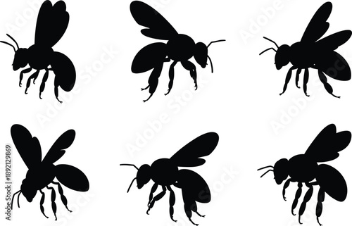 Set of black silhouettes of honey bees flying in various positions and angles isolated on a plain white background for graphic design.