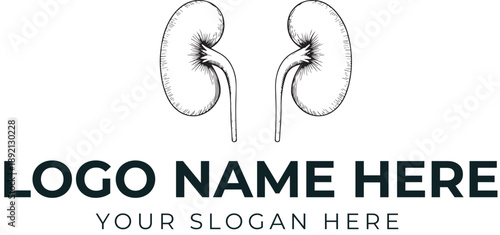 Symmetrical anatomical kidney logo vector with bold text for nephrology, kidney care, or medical branding