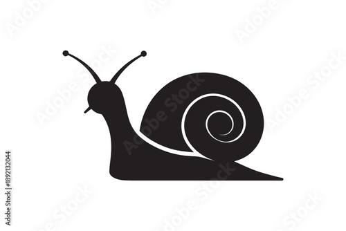 Garden snail with spiral shell slow moving mollusk isolated on white background