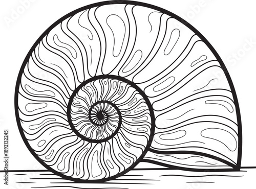 Stylized Nautilus shell cross-section with Fibonacci spiral pattern, black and white line art, vector illustration for design , Generative Ai