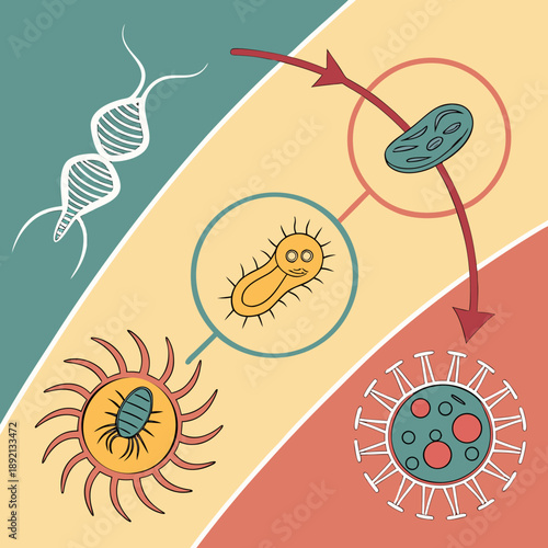 Evolution timeline from D N A to virus bacteria
