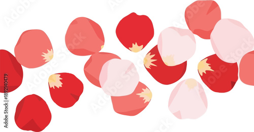Scattered rose petals in shades of pink and red on a light background