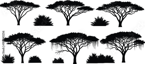 Black silhouette acacia tree and savanna bush set isolated on white background, African safari woodland icons for desert landscapes and nature design projects