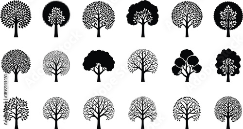 Black silhouette deciduous tree collection with various shapes and seasonal styles isolated on white background, botanical forest icons for nature design projects.