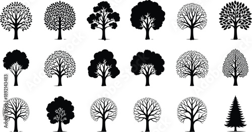 Black silhouette deciduous tree set with different shapes and seasonal variations isolated on white background, botanical forest icons for nature design projects.