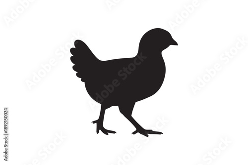 Black silhouette of a chicken chick standing on white background