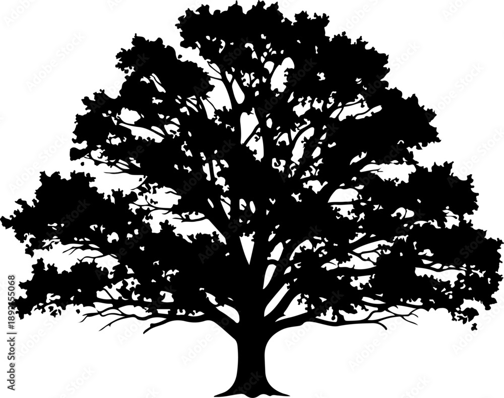 Fototapeta premium Oak tree silhouette vector illustration