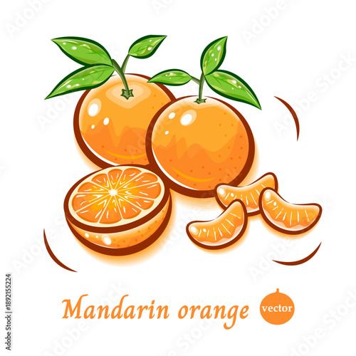 ミカンのフレッシュで可愛いベクターイラスト｜新鮮な果物ポップアート素材