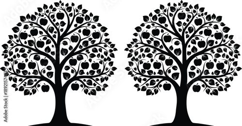 Apple tree silhouette illustration set, two decorative fruit trees with leaves and apples, black and white botanical artwork, nature orchard design