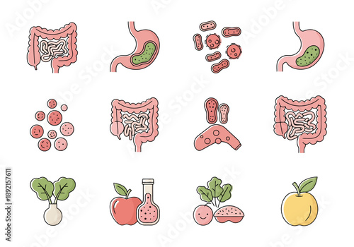Human Digestive System Organs and Microorganism Icons Representing Gut Health and Nutrition Choices for Well Being and Healthy Choices