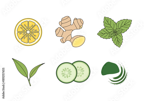 Natural Fresh Ingredients For Healthy Infused Drinks And Refreshing Beverages Including Lemon Ginger Mint Cucumber And Green Tea Leaves Isolated On