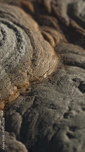 Slow Kinetic Geology Capture the subtle, almost imperceptible movement of the light patterns, giving a sense of gentle, organic life to the otherwise static geological forms.