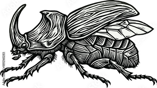 Detailed rhinoceros beetle illustration, black and white insect engraving style artwork, vintage entomology sketch, decorative wildlife vector design