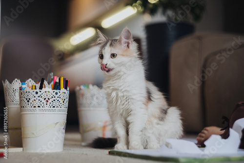 Sweet fluffy kitten observes pencils and decorative jar in living space © Strelciuc