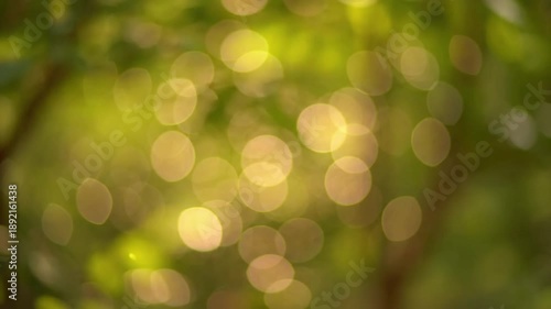 Tranquil Illumination Minimalist Design