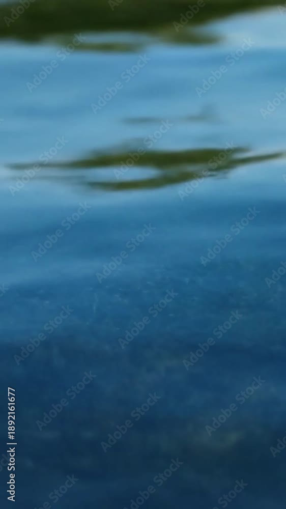 Watery Bokeh Effect Extremely shallow depth of field view of out-of-focus light passing through a water medium, forming soft, shifting bokeh circles with subtle internal movement.