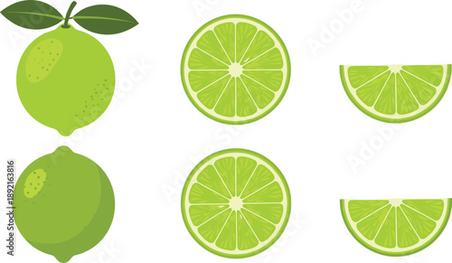 Lime fruit vector illustration set featuring whole green limes and sliced citrus segments, fresh tropical produce icons for healthy food design