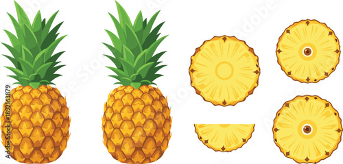 Pineapple fruit vector illustration set featuring whole tropical pineapples and sliced rings, fresh yellow produce icons for healthy food design