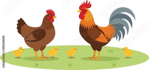 Rooster hen and chicks vector illustration featuring farm poultry family on grass field, countryside barnyard animals, and rural farming scene